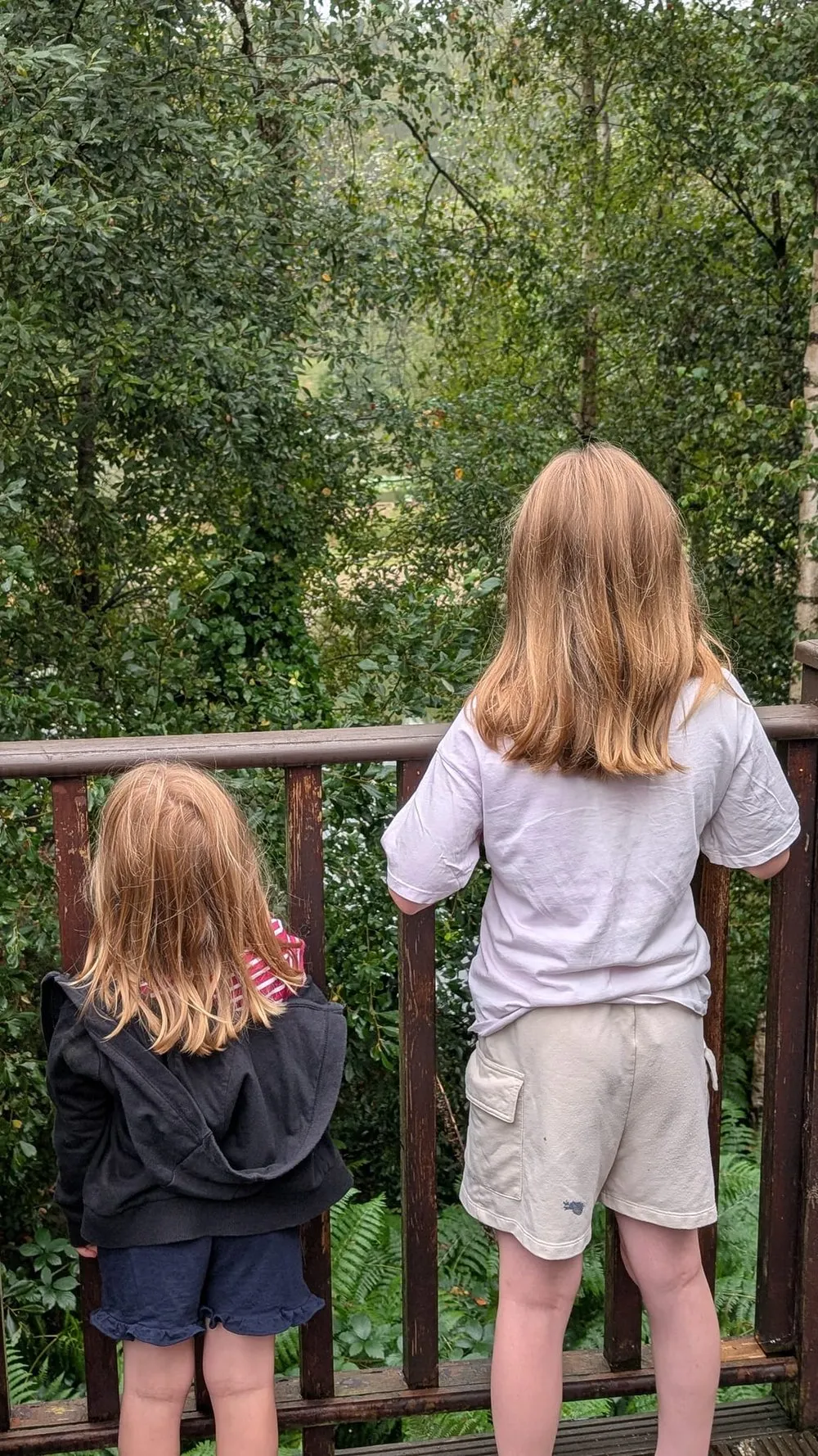 How to support your child to return to School after the Summer holidays